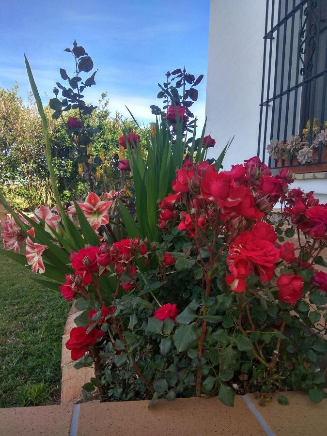 El Mirador De Castilnovo Villa เอลปัลมาร์ ภายนอก รูปภาพ